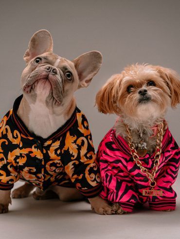 moda-perros-última-tendencia