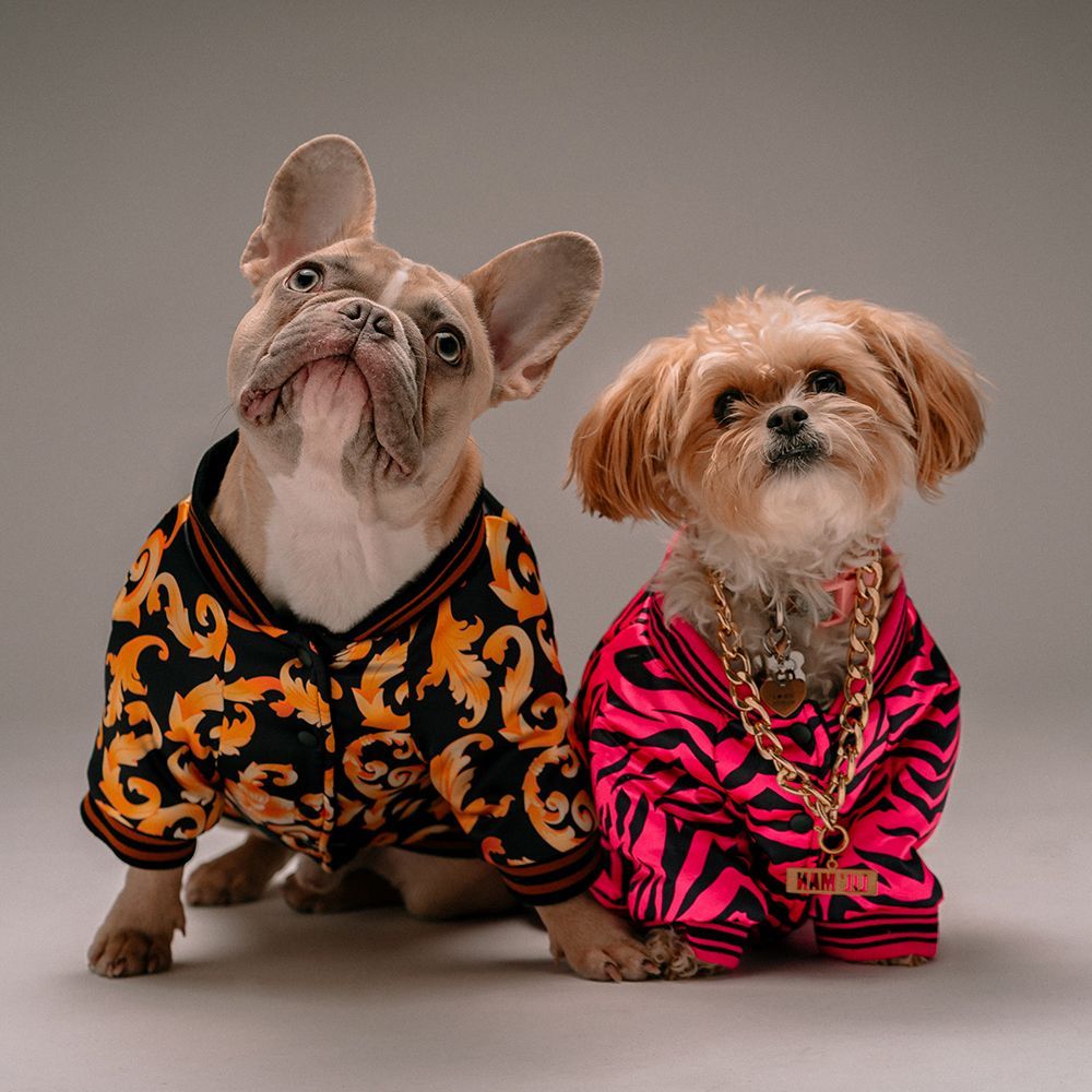 Moda para perros las últimas tendencias Street Style