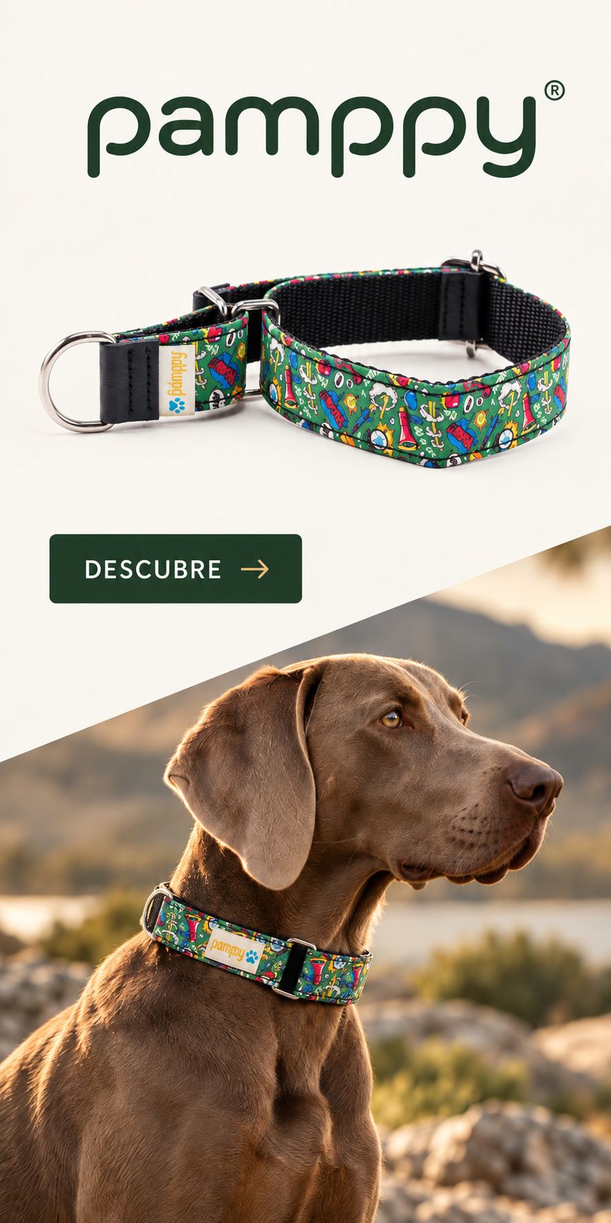 Pamppy: collares para perros de nailon verde, diseñados para tu mejor amigo
