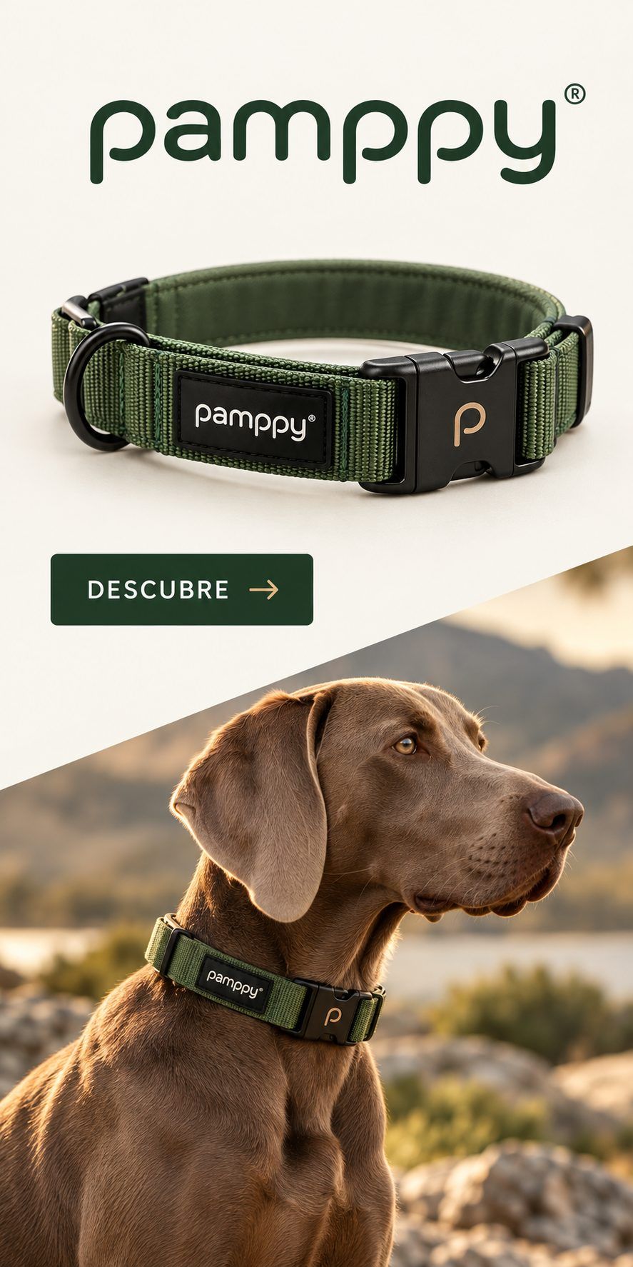 Pamppy: collares para perros de nailon verde, diseñados para tu mejor amigo