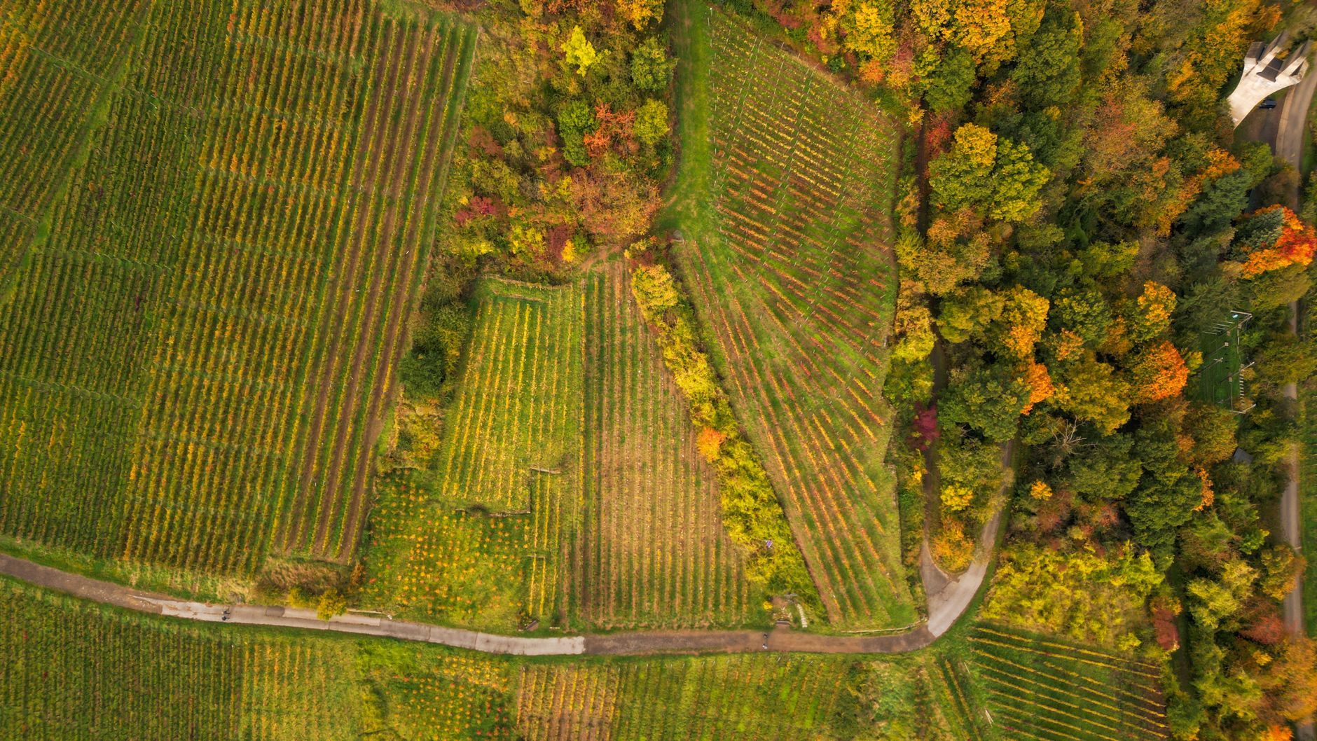 Escapadas de otoño: por qué arrasa el turismo de cercanía - imagen 2